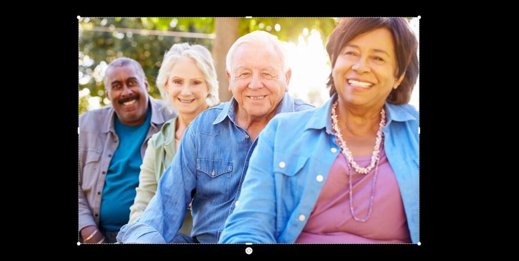 Group of happy seniors outdoors
